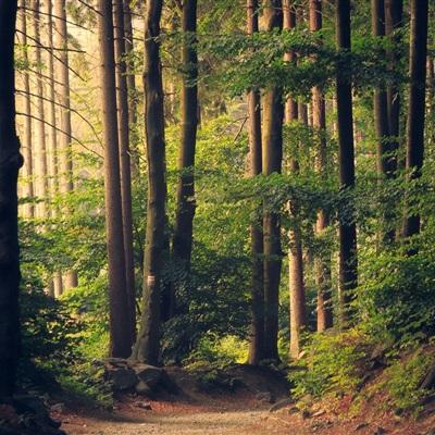 KOK·综合体育app截图